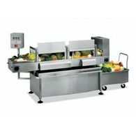 Конвеерная машина для мытья овощей Electrolux LV800C